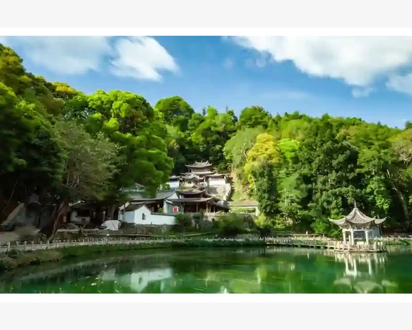 按摩哪里对脾胃号:中医科普解析,揭秘健康秘籍