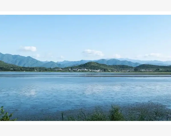 化痰通络清热利咽:中医传统疗法的奥妙