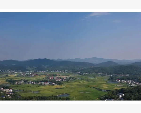B2B技术授权费按使用时长产量销售额哪种模式争议最少